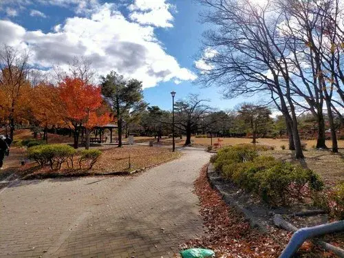 4LDK+S Matsumoto City Nagano Prefecture (17)