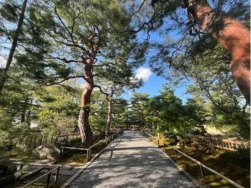 5LDK+S房产 京都市 京都府 (12)