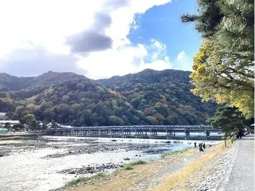 5LDK+S房产 京都市 京都府 (15)