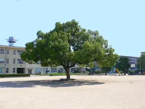5LDK+S Property Kurashiki City Okayama Prefecture (20)