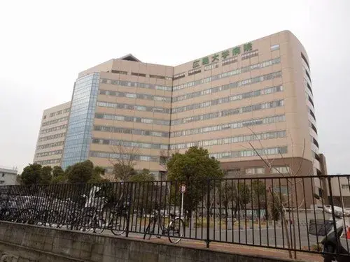 9LDK+S Property Hiroshima City Hiroshima Prefecture (19)