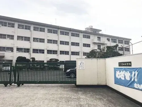 Slide 7