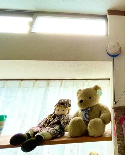 5LDK+S Property Chikujo-machi Fukuoka Prefecture (6)