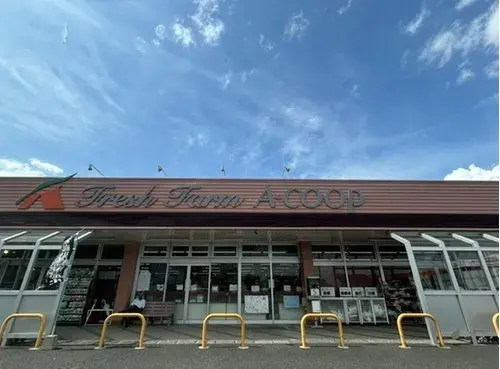3LDK Property Kanoya City Kagoshima Prefecture (18)