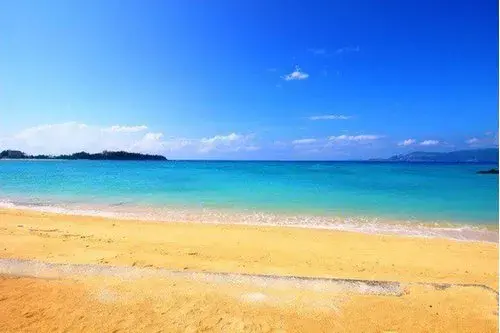 3LDK Bien immobilier Ville de Nago Préfecture d'Okinawa (19)