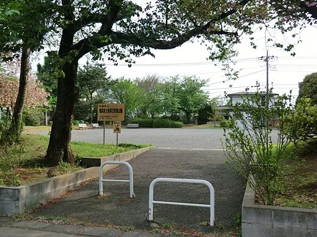 Slide 17