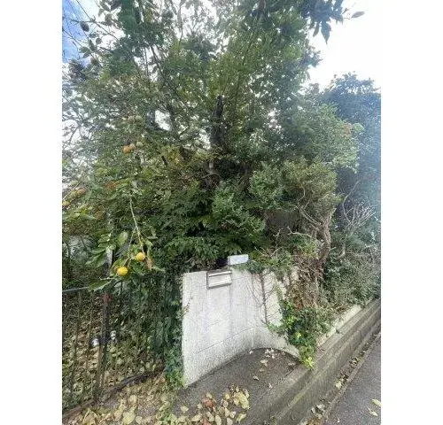 5DK房产 筑波市 茨城县 (15)