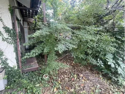 5DK房产 筑波市 茨城县 (3)
