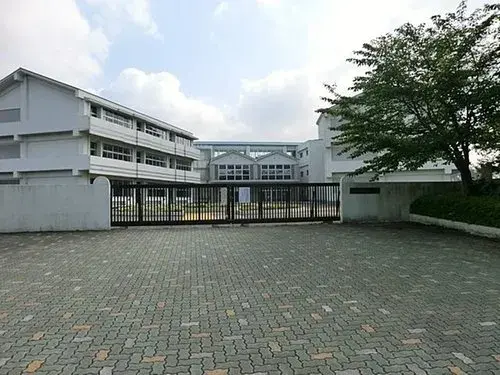 Slide 17