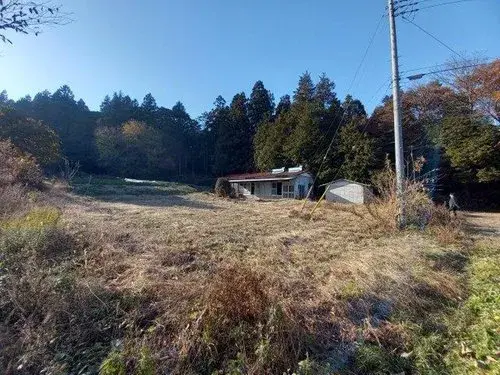 Akiya in Sakura