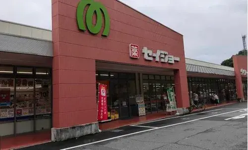 5LDK+S Hidaka City Saitama (8)