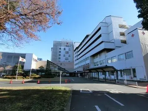 Tokyo Mitaka City 2LDK Property (20)