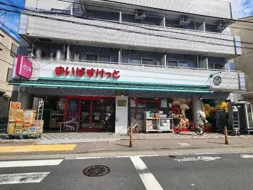 2LDK Property Ota-ku Tokyo (11)