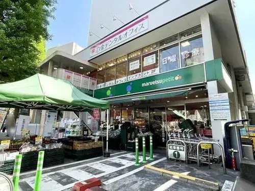3LDK Property Meguro Ward, Tokyo (19)