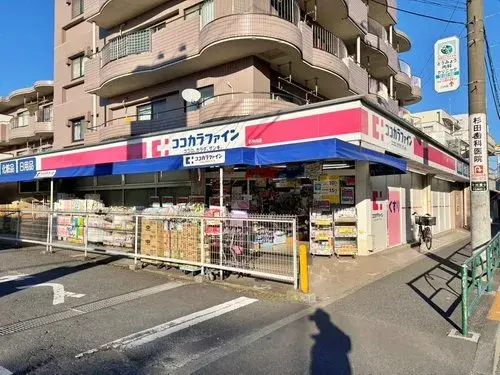 5LDK House in Nerima-ku, Tokyo (22)