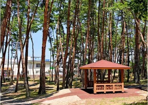 8LDK Bien immobilier Ville de Niigata Préfecture de Niigata (17)
