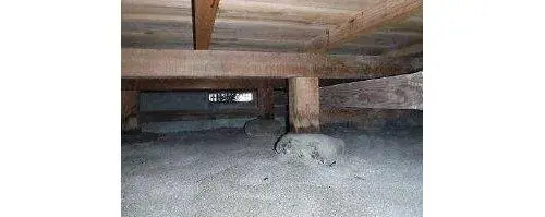 3LDK+S Eiheiji-cho, Fukui Prefecture Property (22)