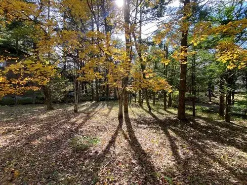 3LDK Distrito de Kitasaku Ciudad de Karuizawa Prefectura de Nagano (8)