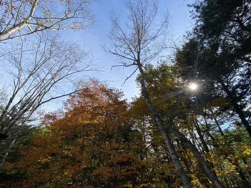 3LDK Distrito de Kitasaku Ciudad de Karuizawa Prefectura de Nagano (9)