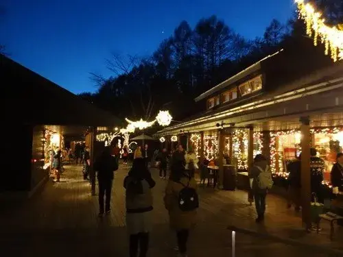 عقار 3LDK بلدة Karuizawa محافظة Nagano (19)