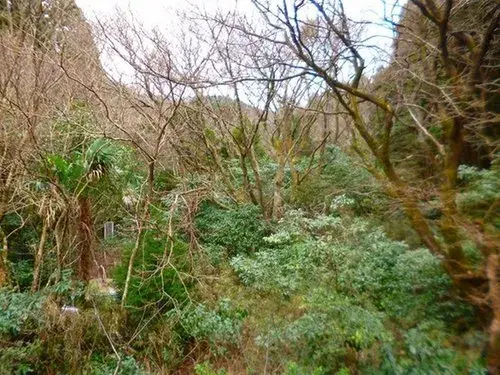 1LDK مدينة Atami محافظة Shizuoka (13)