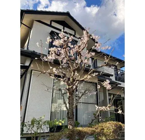 4LDK Property Kameoka City Kyoto Prefecture (3)