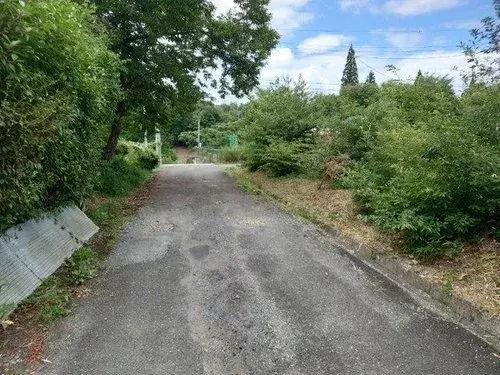 Slide 13