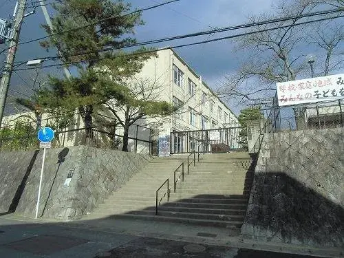 Slide 5