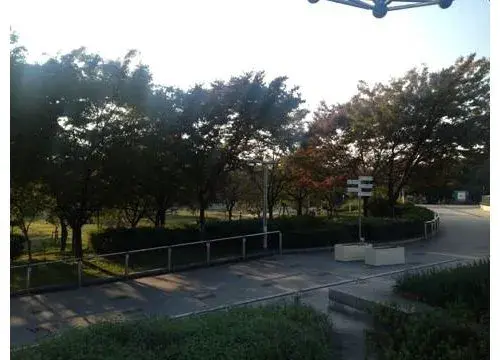 Propiedad 5K Ciudad de Osaka Prefectura de Osaka (4)
