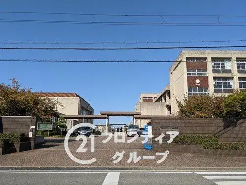 Slide 17