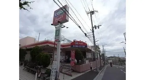 4LDK Property Kobe City Hyogo Prefecture (6)