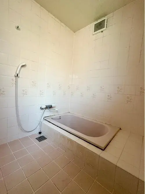 5LDK Property Kurashiki City Okayama Prefecture (15)