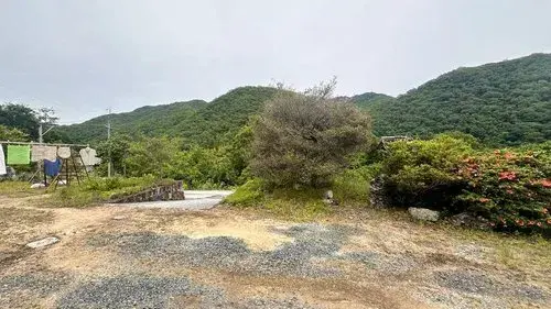 7DK 高梁市 岡山県 (3)