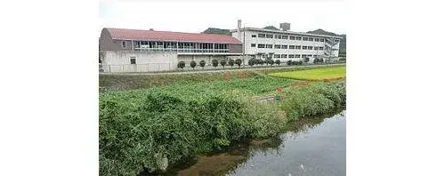 冈山县冈山市9卧室1餐厅1厨房1储藏室房产 (17)