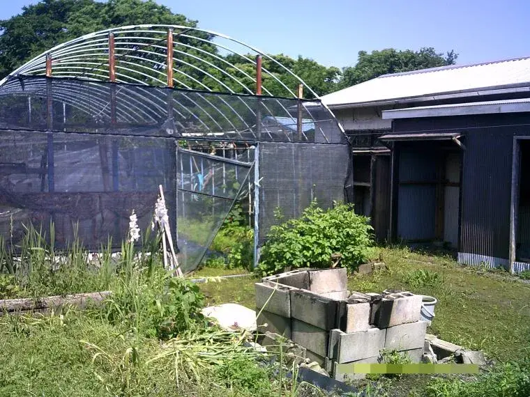 4K+Sunroom Kawaminami-cho Miyazaki Prefecture (10)