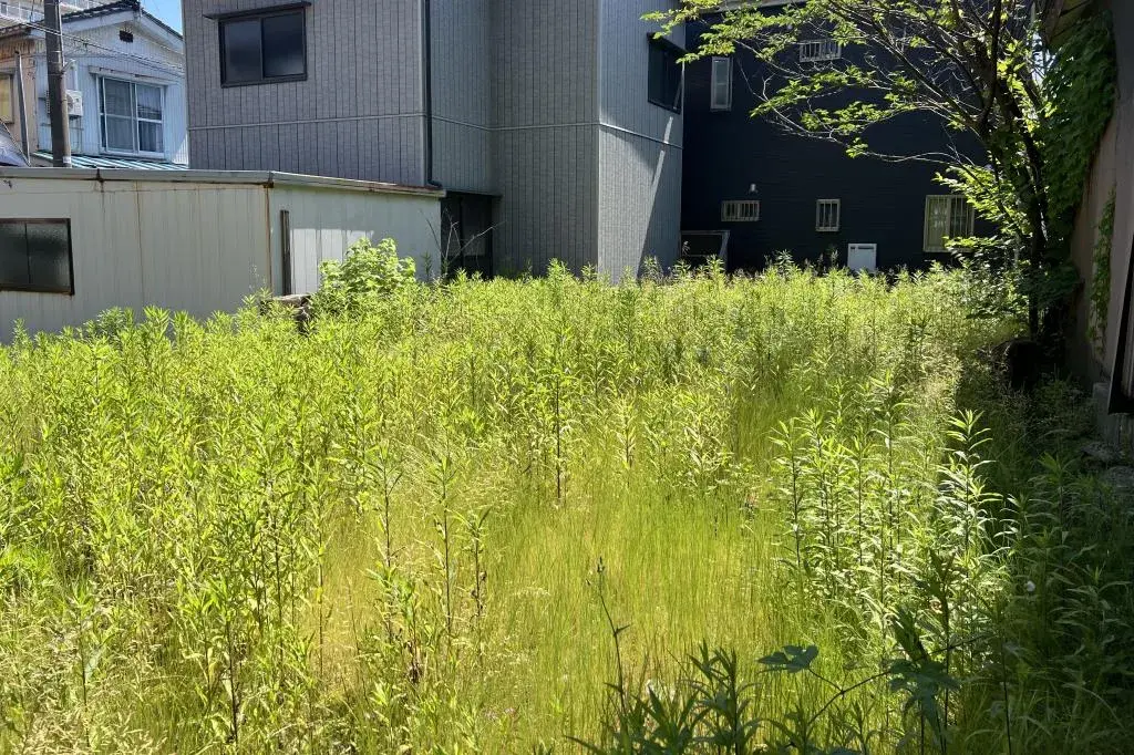 Propriété foncière Ville de Sanjo, Préfecture de Niigata (3)
