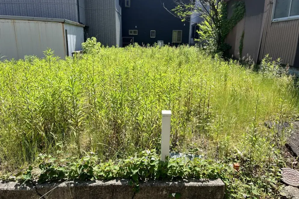 Propriété foncière Ville de Sanjo, Préfecture de Niigata (4)
