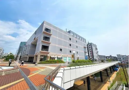 Slide 8