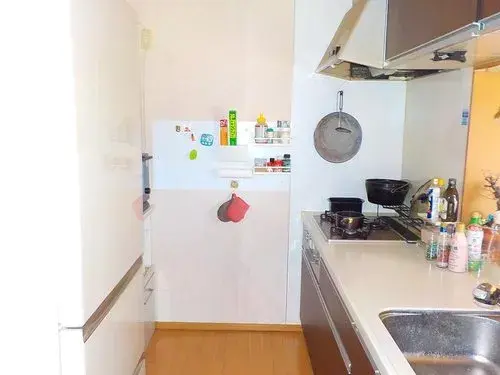 4LDK Property Saitama City Saitama Prefecture (10)