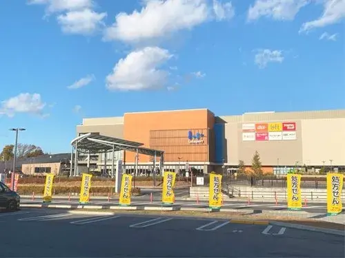 3LDK Property Togo Town Aichi Prefecture (14)