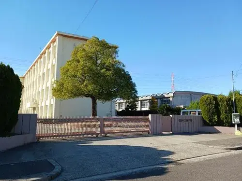 Slide 4