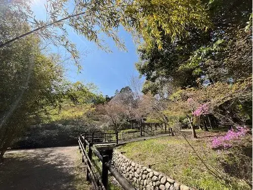 Недвижимость 7LDK Kyoto City Kyoto Prefecture (15)