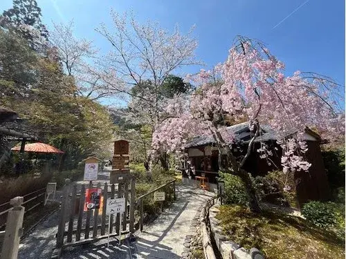 Недвижимость 7LDK Kyoto City Kyoto Prefecture (16)