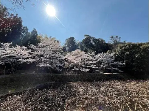 Недвижимость 7LDK Kyoto City Kyoto Prefecture (18)