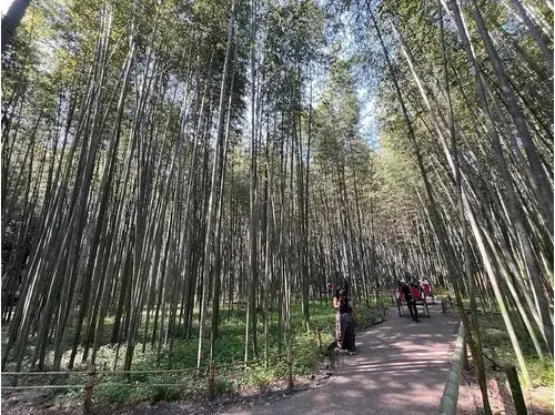 Недвижимость 7LDK Kyoto City Kyoto Prefecture (19)
