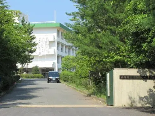Slide 17
