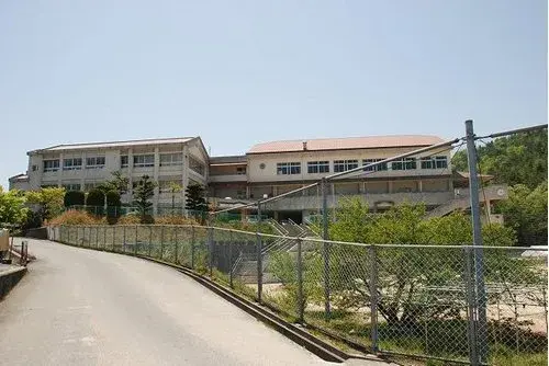 Slide 17