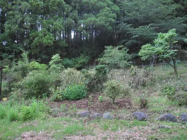 5DK Property Kiryu City Gunma Prefecture (29)