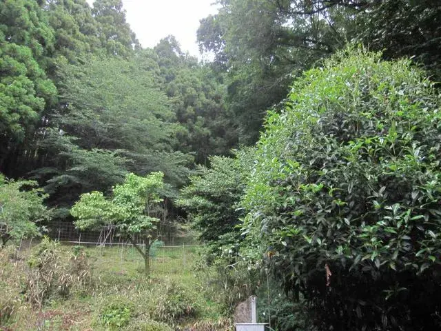 5DK Property Kiryu City Gunma Prefecture (31)