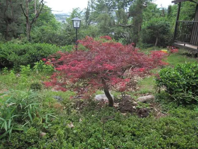 5DK Property Kiryu City Gunma Prefecture (34)